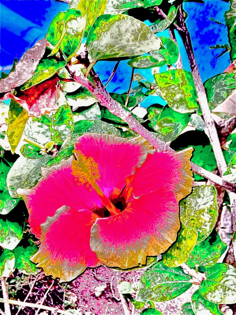 Foto Verfremdung blume pink grün