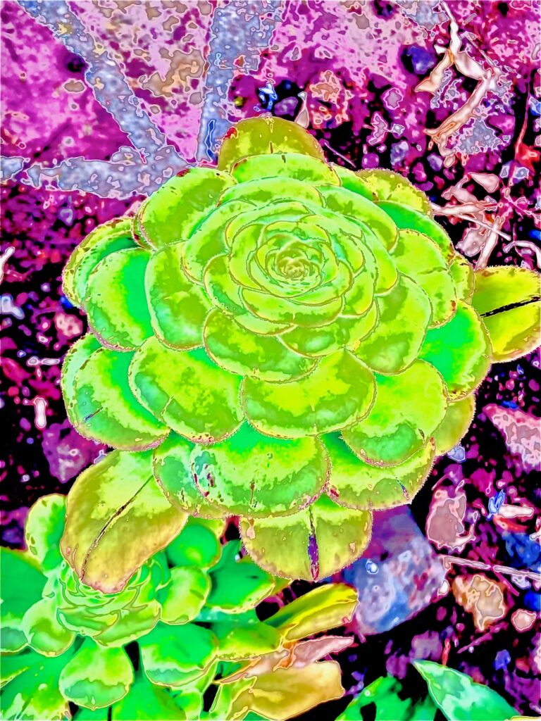 Foto Verfremdung rose grün
