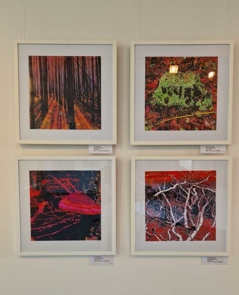 Ausstellungsfoto-1